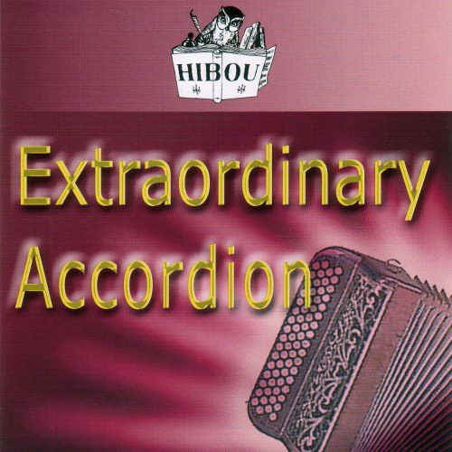 Different Classic And Modern Accordions